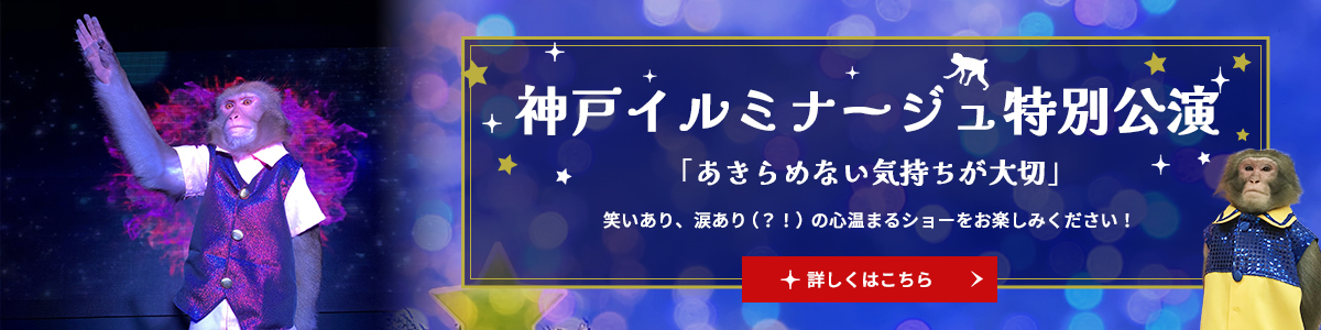 神戸イルミナージュ特別公演